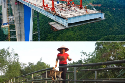 The Long Echo: Building a Bridge Across Generations