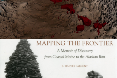 The Edge of the Map: Navigating Alternative Assets and Speculative Frontiers