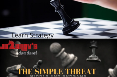 The Invisible Partner: Mastering the Strategic Chess Game of Taxation